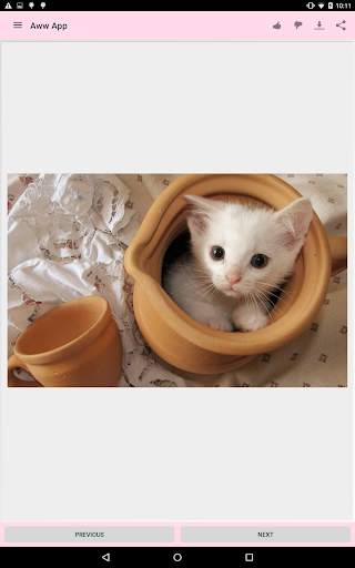 Aww App 22 تصوير الشاشة