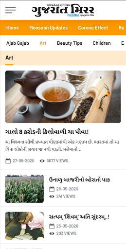Gujarat Mirror screenshot 3