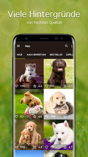 Hintergrundbilder Hündchen 4K screenshot 1