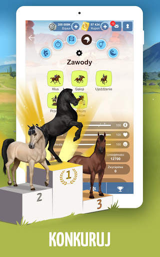Howrse – darmowa gra o hodowli koni screenshot 20
