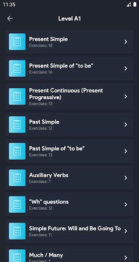English Grammar Exercises скриншот 2
