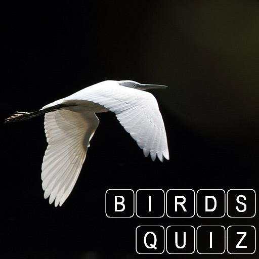 Amazing Animals : Bird Quiz 0.14