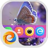 LittleButterfly-eThemeLauncher icon