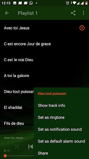 French Gospel songs - Louange et chants de louange screenshot 3