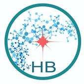 Hubli Browser  - Fastest browser ever icon