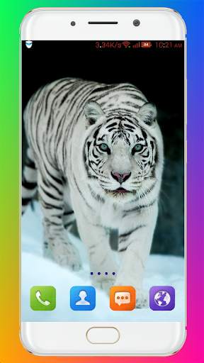 Tiger Wallpaper HD screenshot 9