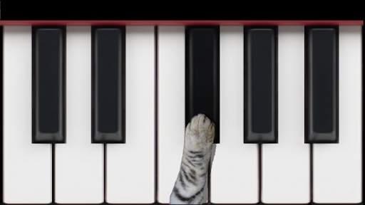 Cat Piano screenshot 2