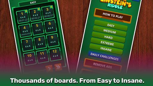 Einstein's Riddle Logic Puzzle screenshot 8