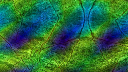 Mystic Nature Music Visualizer screenshot 2