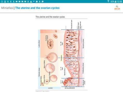 Mini Atlas Gynaecology screenshot 9