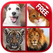 Animal & Birds Sound for kids 2