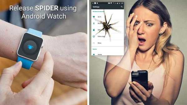 Spider On Screen - Funny Prank screenshot 8