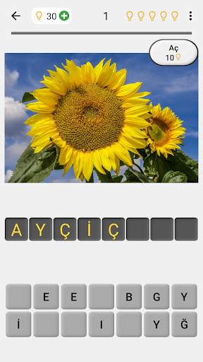 Çiçekler - Botanik testi ve bitkiler fotoğrafları screenshot 1