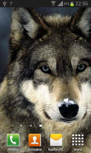 Wolves live wallpaper screenshot 1