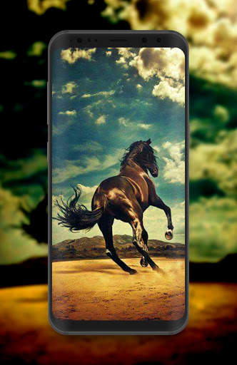 Horse Wallpaper HD Offline screenshot 8