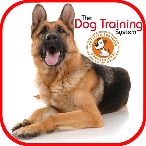 Dog Training 3.0