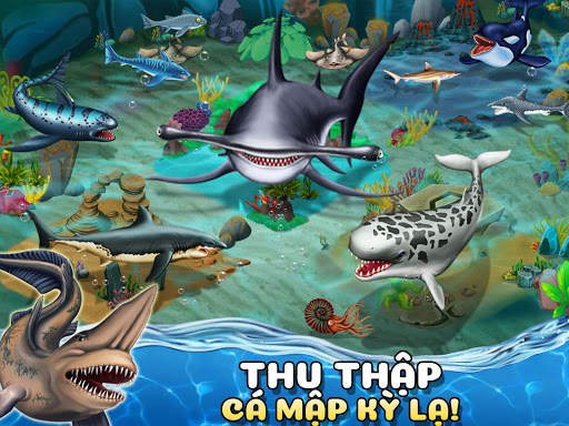 Shark World-Thế giới cá mập screenshot 3