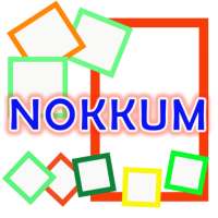 NOKKUM VPN logo