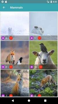 Nature Wallpapers: Birds, Animals, Butterflies screenshot 6