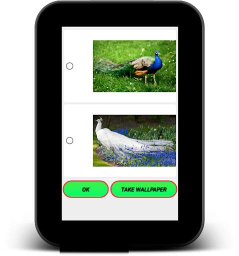 3D Peacock Live Wallpapers screenshot 10