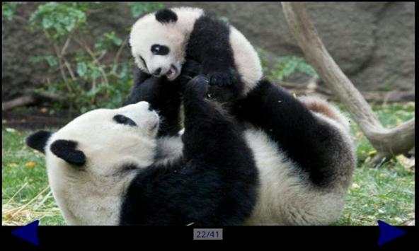 Panda Gallery HD screenshot 4