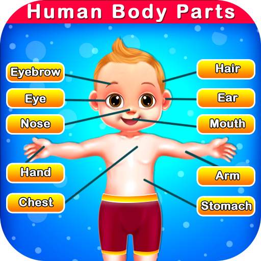 Human Body Parts - Preschool Kids Learning Games 1.0.3