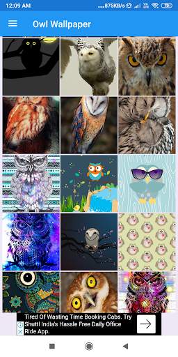Owl Wallpaper: HD images, Free Pics download screenshot 1