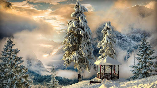 Winter Live Wallpaper (Wallpapers & Backgrounds) screenshot 8