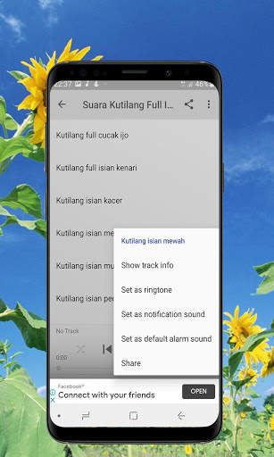 Kicau Burung Kutilang Offline screenshot 4