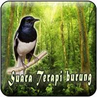 Terapi Burung MP3 Offline logo
