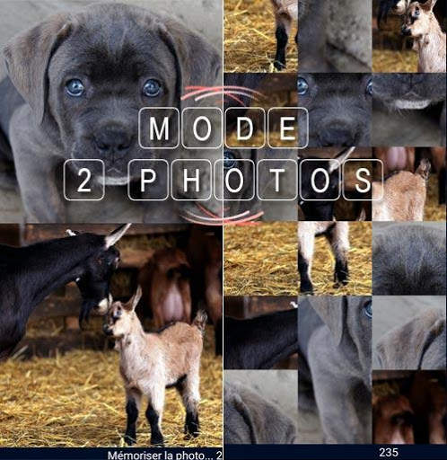 Animal jigsaw puzzle : free puzzle app for android screenshot 1