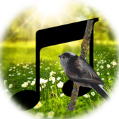 Nature Player icon
