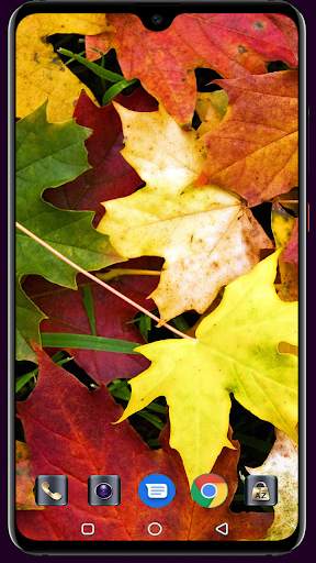 Autumn Wallpaper 4K Latest screenshot 9