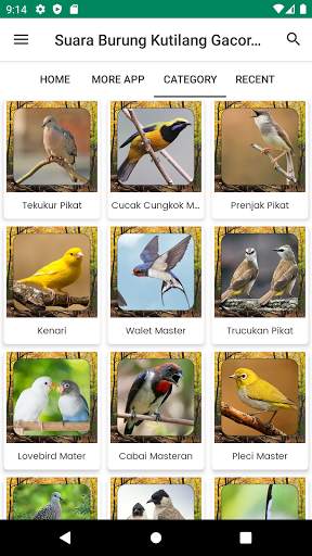 Suara Burung Kutilang Gacor Offline screenshot 2