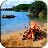 Bonfire Video Live Wallpaper 3.0