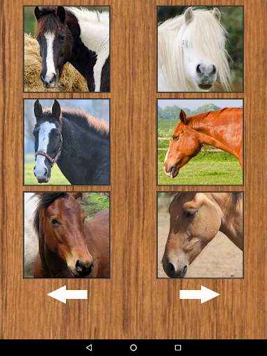 Funny Horse Farm Sounds screenshot 9