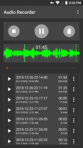 Audio Recorder (No Ads) screenshot 7