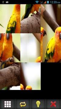 Birds Puzzle screenshot 15