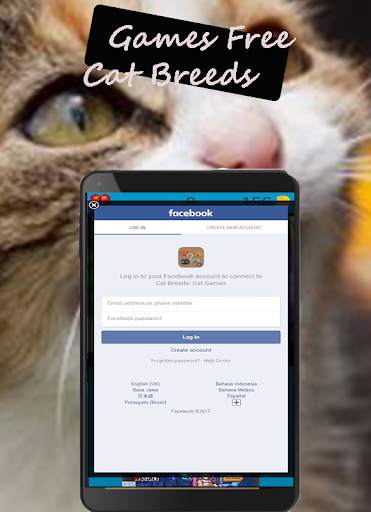 Cat Breeds: Cat Games screenshot 13