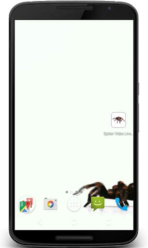 Spider Video Live Wallpaper screenshot 1