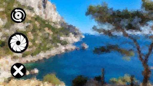 Picasso Camera screenshot 2