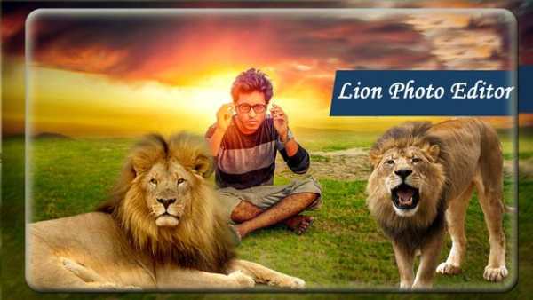 Lion Photo Editor screenshot 1