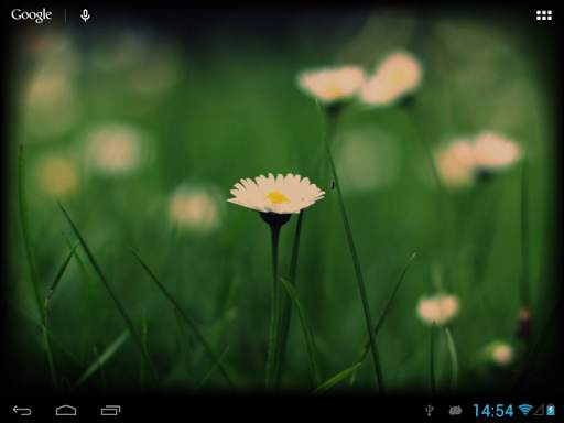 Old TV Live Wallpaper 6 تصوير الشاشة