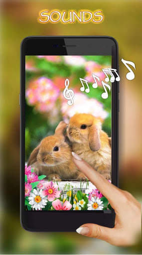 Bunnies Live Wallpaper screenshot 1