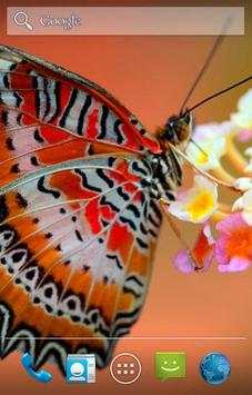 Butterfly Live Wallpaper screenshot 3