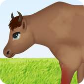 cow surgery games 1.0