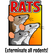 Rats DEMO icon