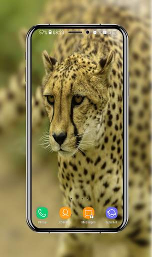 New Cheetah Wallpapers screenshot 11