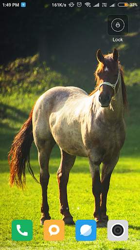 Horse Wallpaper HD screenshot 8