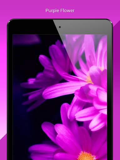 My Flowers Colors HD WALLPAPER screenshot 15